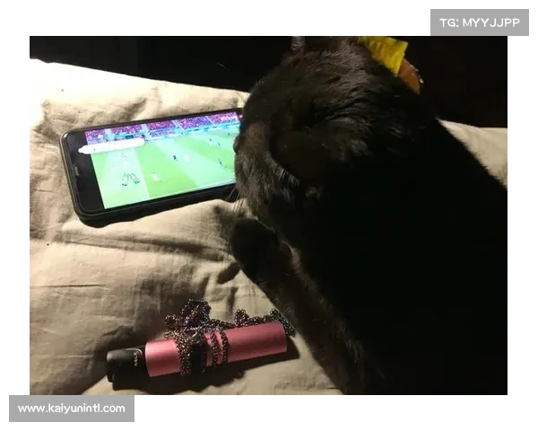 熬夜看欧洲杯赛程安排揭秘尽享精彩赛事与疯狂夜晚 熬夜看欧洲杯赛程安排揭秘尽享精彩赛事与疯狂夜晚
